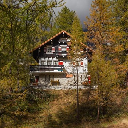I Larici - Appartamento Per Sognare Alpe Devero Esterno foto