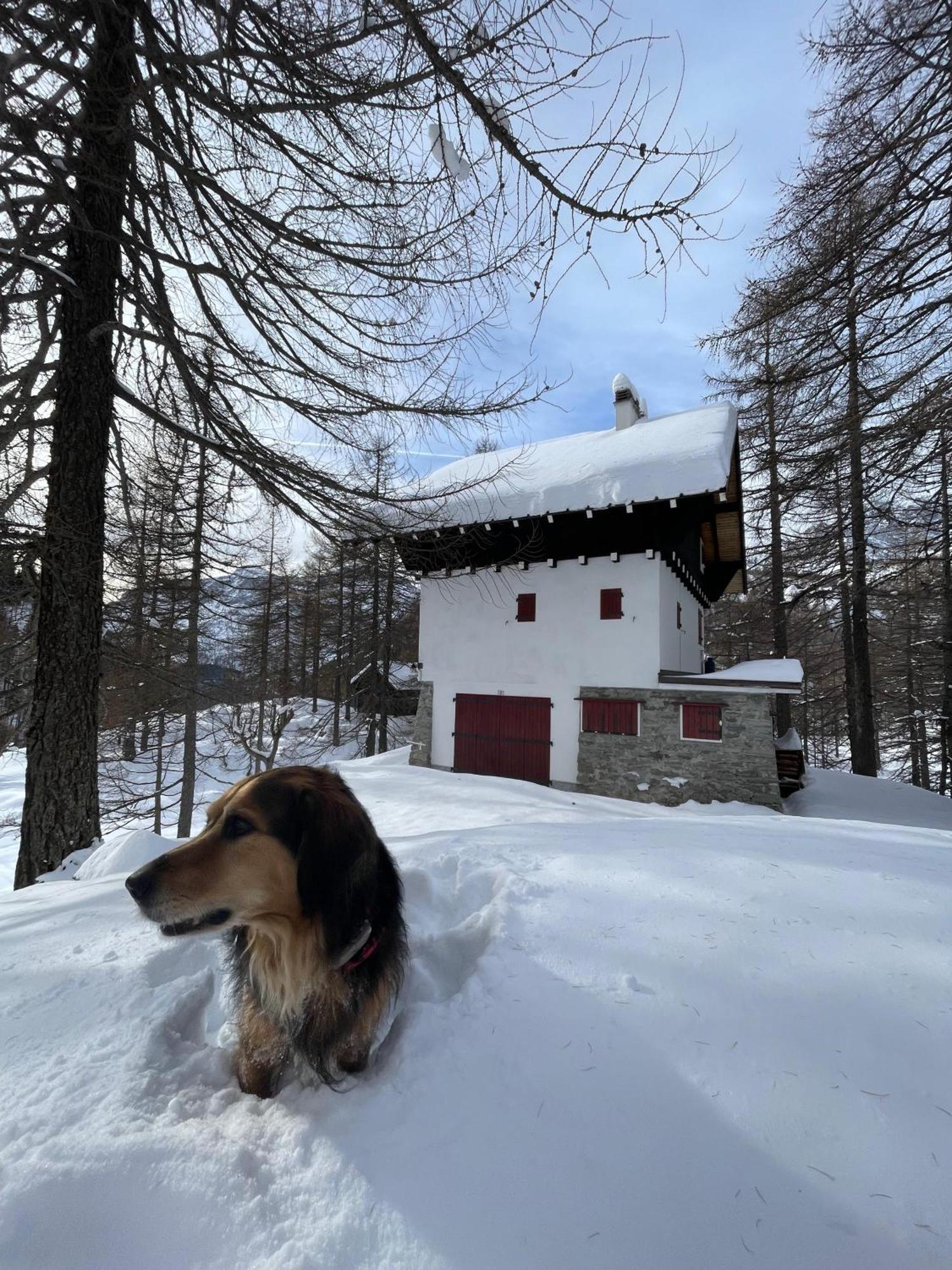 I Larici - Appartamento Per Sognare Alpe Devero Esterno foto